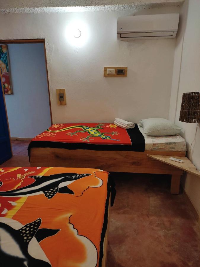 Hostel La Ballena Backpacker Las Galeras Buitenkant foto