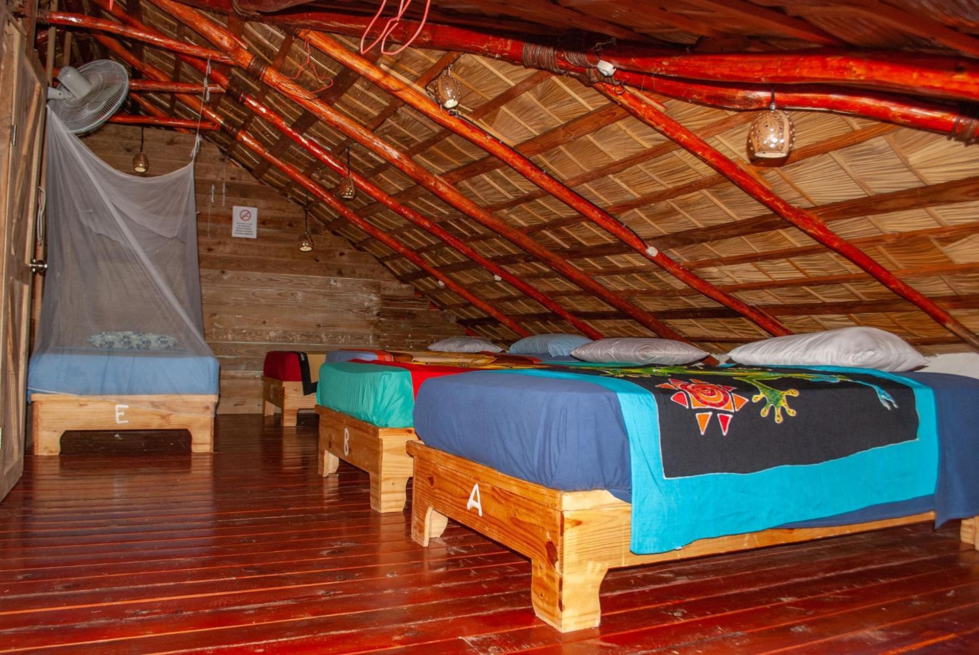 Hostel La Ballena Backpacker Las Galeras Buitenkant foto